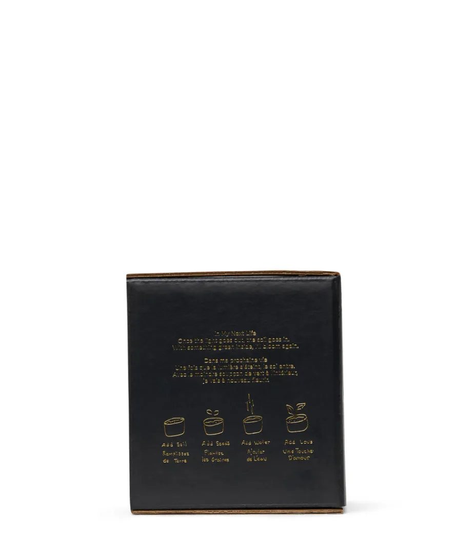 Andles | Matt & Nat Mattnat Candles Too Glam To Give A Damn Soy Candle BLACK